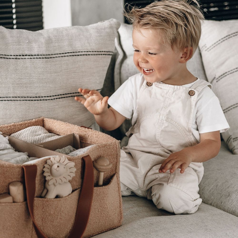 Teddy Tan nursery caddy with removable dividers
