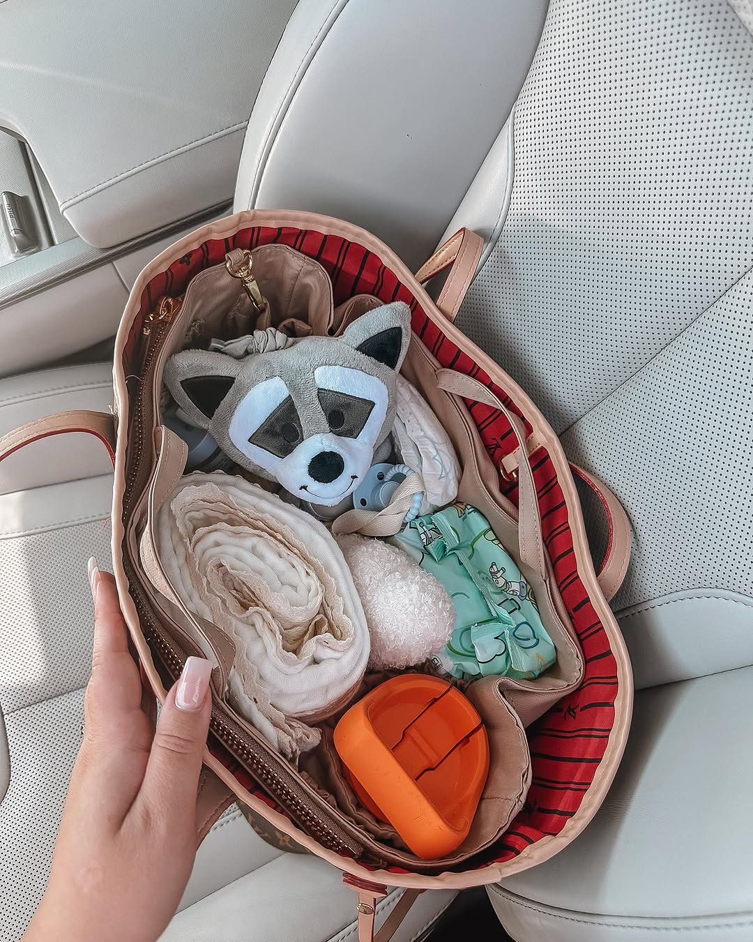 Baby Bag Insert Organiser