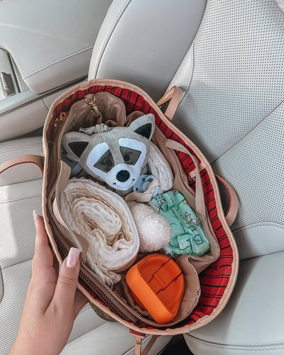 Baby Bag Insert Organiser