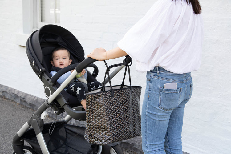 Stroller Clips